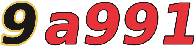 9a991 logo